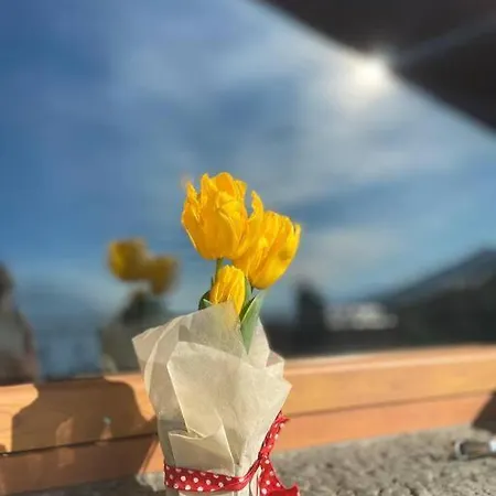 La Terrazza Vista