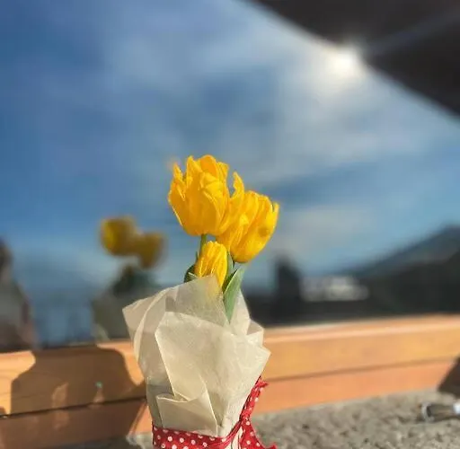 La Terrazza Vista